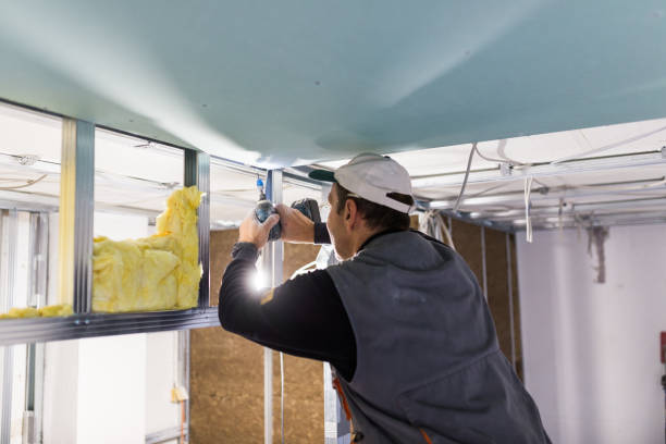 Best Commercial Insulation in Seat Pleasant, MD