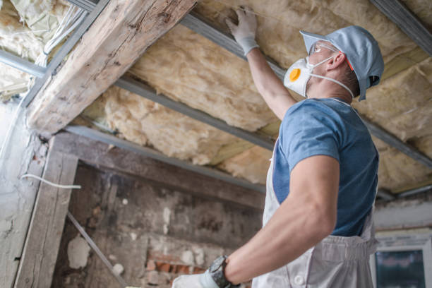 Types of Insulation We Offer in Seat Pleasant, MD