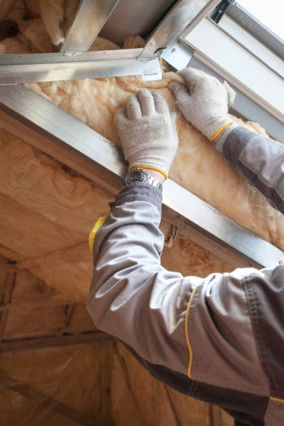Best Geographic-Specific Insulation Services in Seat Pleasant, MD