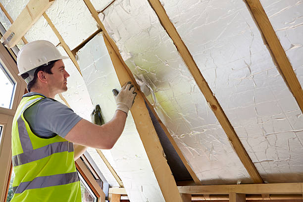 Best Eco-Friendly Insulation in Seat Pleasant, MD