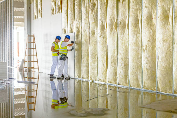 Best Spray Foam Insulation in Seat Pleasant, MD